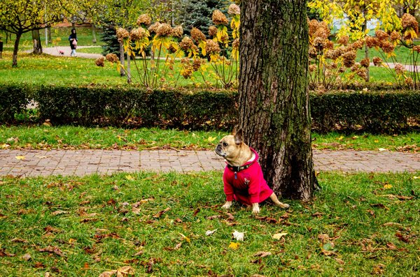 Conseils de soins de la peau pour l'acné pendant la grossesse